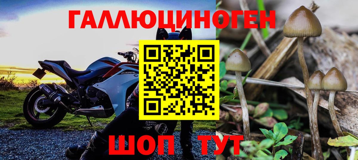 Галлюциногенные грибы GOLDEN TEACHER  Псилоцибиновые грибы ЛСД  Сергиев Посад  Вход с VPN 